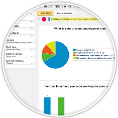 wordpress surveys automatic reports